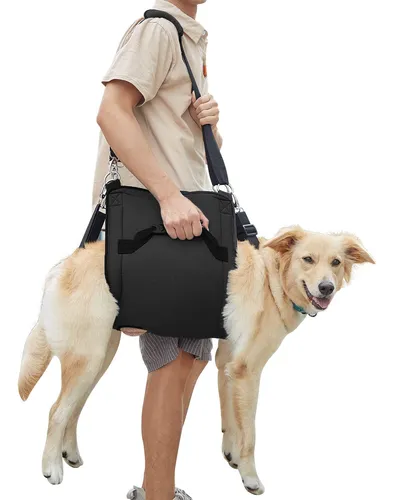 Mochila de emergencia para perros hotsell