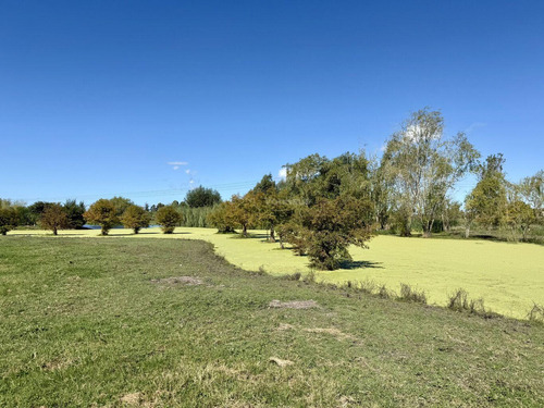 Chacra Haras Venta 11 Has Pando, Canelones