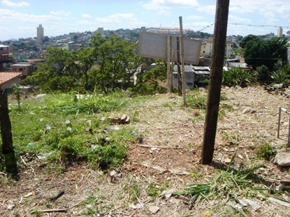 Imagem 9 de 17 de Terreno À Venda, Nova Esperança, Belo Horizonte. - Mg - Te0107_realle
