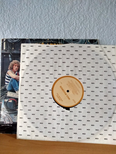 The Who - Who Are You Vinilo Lp Mexicano (Usado)