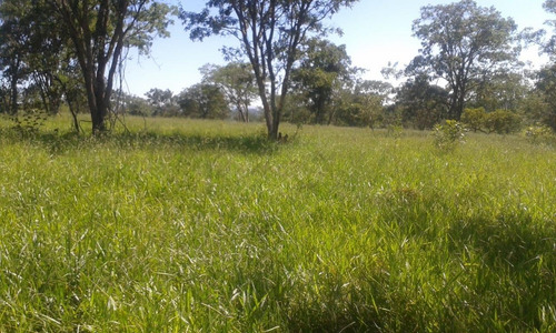 Fazenda A Venda 117 Hectares Com Granja Centro-oeste De Mg - 14532