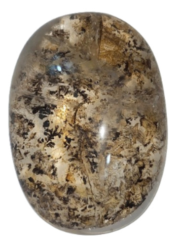 Pedra Dendrita Natural Cristal Quartzo Precioso Raro 43,48ct