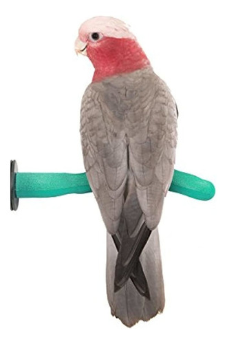 Sweet Pies And Beak Safety Perca De Perca Para Pajaros Por