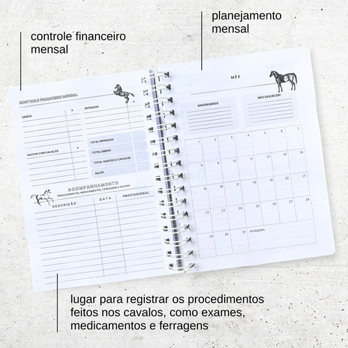 Planner Permanente Hipismo&co