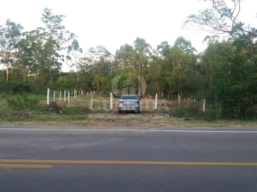 Imagem 11 de 13 de Terreno - Itapua - Ref: 151984 - V-151984
