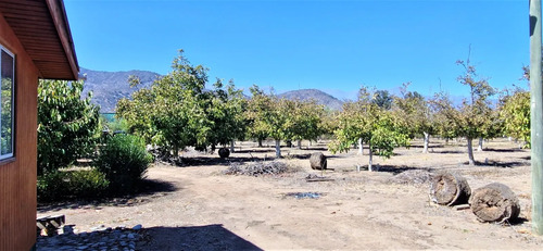 Venta De Parcela De 20.000 M2, Hermosa Y Productiva, En El M