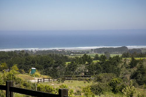 Reserva Natural En Punta De Lobos