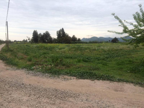 Camino El Arpa 4 Hás Conecta Con Carretera Acceso Sur - Buin
