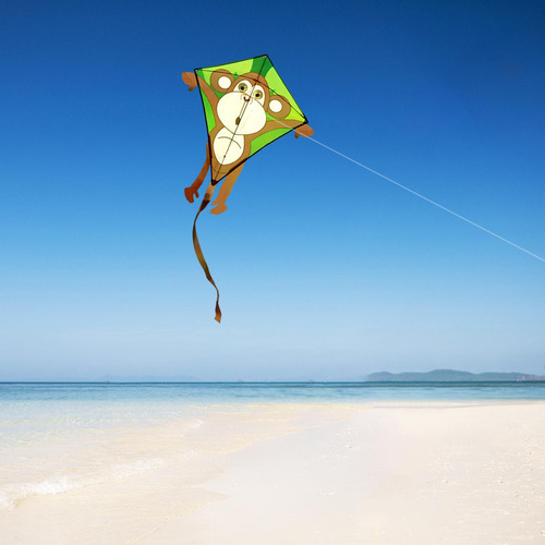 Kite Para Niños Y Adultos Increíbles Cometas De Pájaros