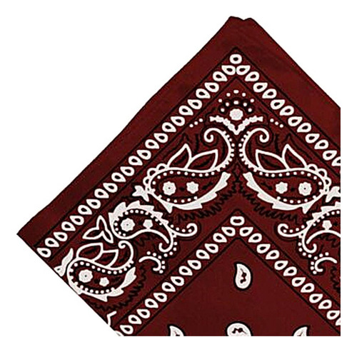 Bandana Con Estampado De Cachemir Para Mujer Y Hombre, 2 Uni
