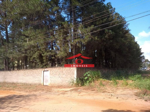 Imagem 2 de 30 de Oportunidade No Distrito Industrial Ii - Ba0274