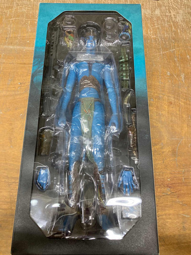 Jake Sully 1/6 Avatar James Cameron Hot Toys Original Nuevo