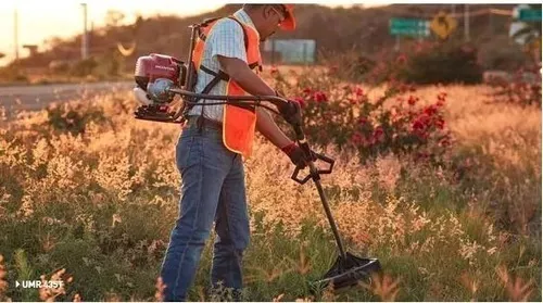 Segunda imagen para búsqueda de desbrozadora honda 450