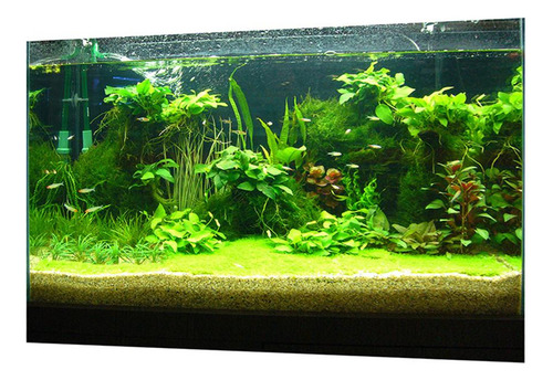 B Cartel De Paisaje De Acuario 122x46cm Tipo C - 122x46cm