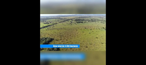Imagem 1 de 30 de Fazenda 3366 Hectares, 5 Poços Artesianos, 4 Reservatórios De Agua, 42 Bebedouros De 12mil Litros, 80 Casinhas De Cocho Cobertas, 2 Corredores Centrai - Fa00043 - 69928786