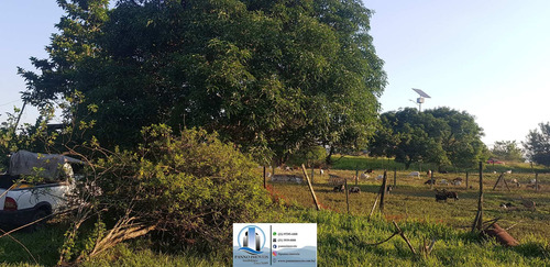 Imagem 17 de 30 de Chácara Em Parque Capivari, Duque De Caxias/rj De 110m² 2 Quartos À Venda Por R$ 250.000,00 - Ch520459-s
