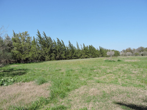 3 Hectareas En Veronica, Punta Indio