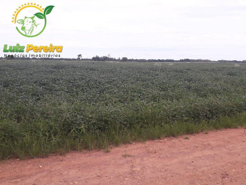 Imagem 8 de 13 de Fazenda À Venda Em Peixe - To - De 185 Alqueirões (dupla Aptidão) - 1727