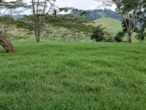 Vendo Finca Ganadera En Restrepo Valle