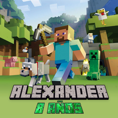 Lona 1 X 1 Metros Personalizada Fiesta Cumpleaños Personajes Minecraft