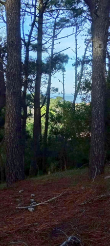 Casa En Mar De Las Pampas, Esquina San Andres Y Los Alamos.