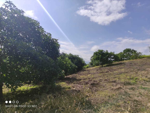 Imagen 26 de 28 de Venta De Hermosa Finca En El Estado Lara