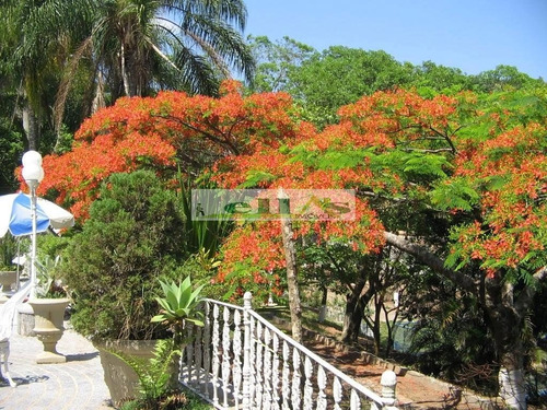 Imagem 4 de 12 de Chácara Para Venda - 1330