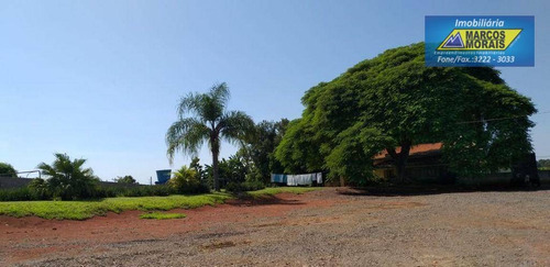Imagem 19 de 30 de Chácara Com 3 Dormitórios À Venda, 6000 M² Por R$ 850.000,00 - Aleluia - Cesário Lange/sp - Ch0055