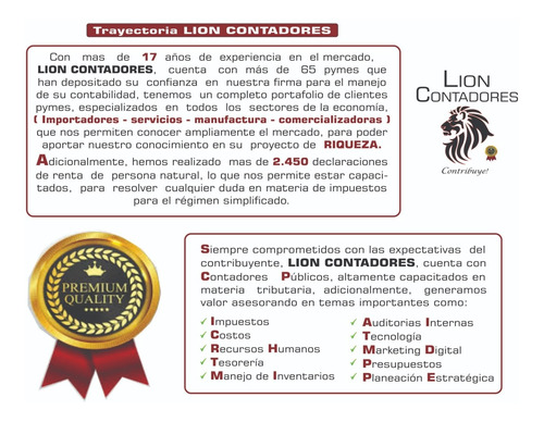 Imagen 8 de 10 de Contador Público En Bogota Para Pymes Lion Contadores S.a