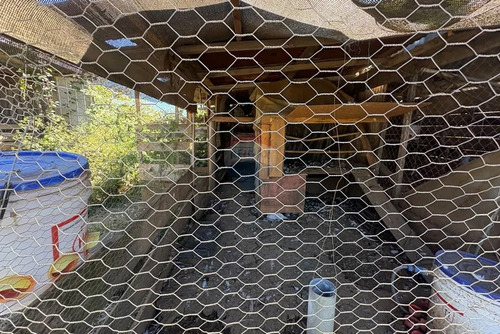 Arriendo Con Compromiso De Compra De 6.667 Mts2