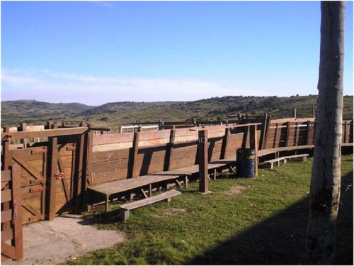 Imagen 11 de 13 de Campo En Venta En Uruguay, Treinta Y Tres, Oportunidad!!!- Ref: 25013