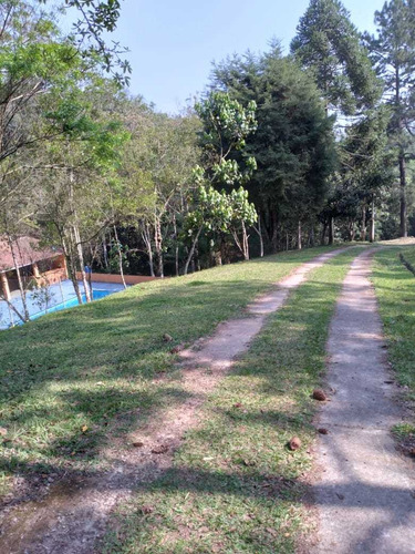 Imagem 4 de 30 de Chácara À Venda, Chácara Boa Vista Palmeiras, Suzano, Sp - Sp - Ba0003_yamamo