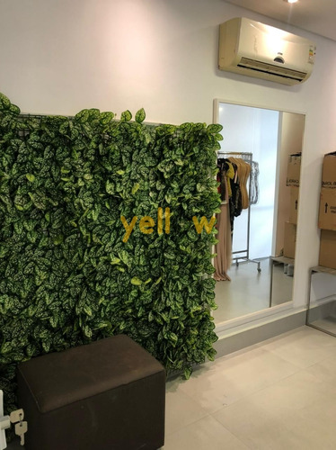 Imagem 15 de 15 de Comercial - Vila Pedroso - Co-3852