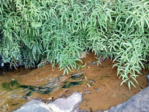 Imagem 4 de 15 de Terreno Condomínio Para Venda - 6765