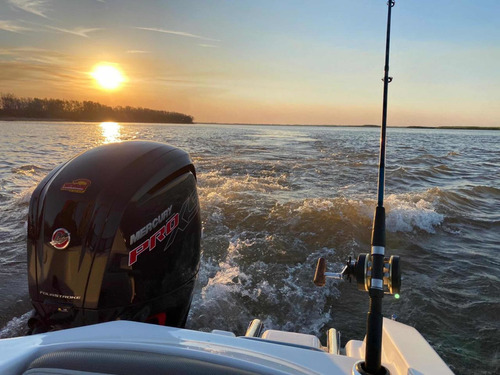 Imagen 12 de 15 de Quicksilver 1700 + Mercury 115hp Pro Xs/bermuda 180 Eclipse