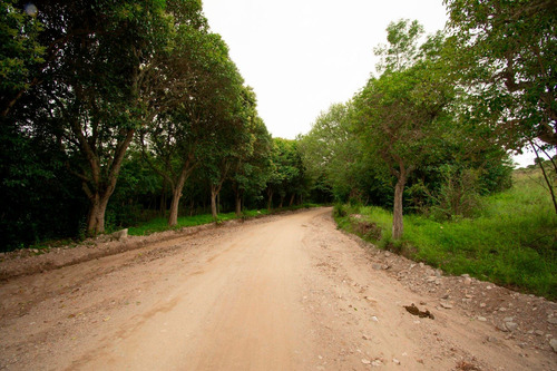 Imagen 5 de 8 de Lote De 1000 M2 En Venta, En Villa Giardino. Cordoba.