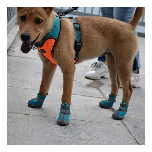 Zapatos Para Perros Pequeños Con Pavimento Caliente, Botines