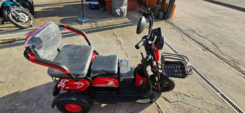 Triciclo Moto Electrico Discapacitado Adulto Mayor