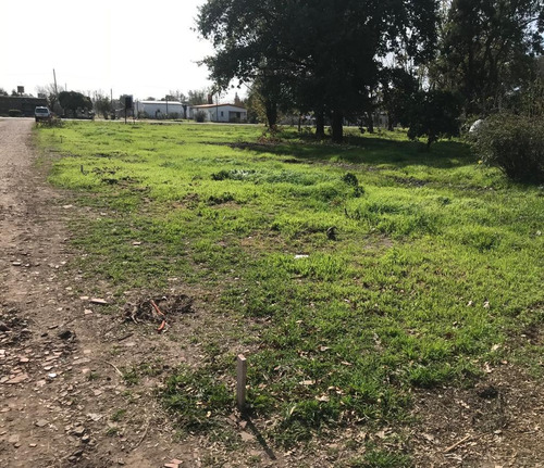 Imagen 4 de 30 de Terreno - Ibarlucea
