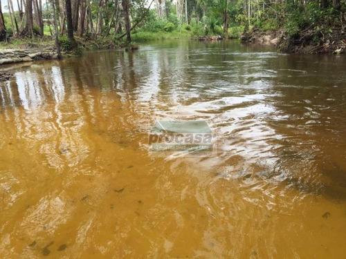 Chácara Com 3 Dormitórios À Venda, 280000 M² Por R$ 250.000,00 - Centro - Rio Preto Da Eva/am - Ch0001
