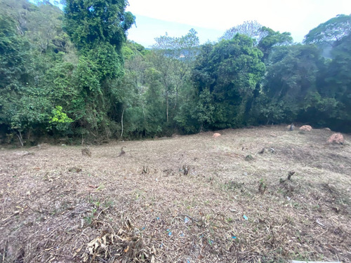 Terreno (lote) Condomínio Parque Suiça - Serra Da Cantareira