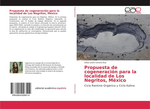 Libro: Propuesta De Cogeneración Para La Localidad De Los Ne