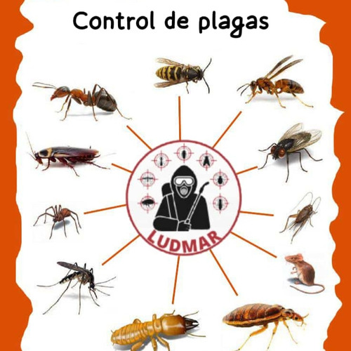 Fumigación Ludmar