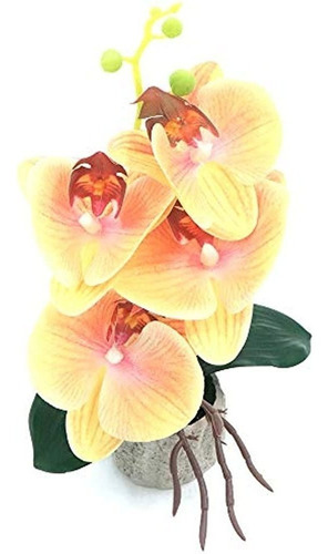 Hrrive Planta De Orquídea Phalaenopsis Amarilla Artificial B