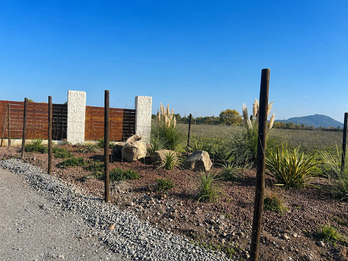 Parcela 5000m2 En Proyecto Los Avellanos, Zapallar, Curicó