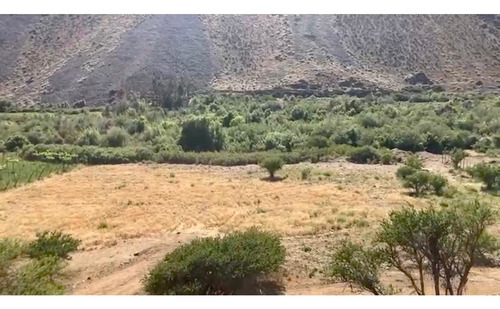 Parcela En Venta Alcohuaz Valle Elqui Orilla Rio