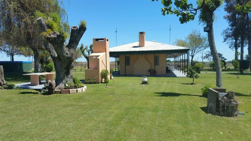 Imagen 6 de 23 de Campo - Gualeguaychu