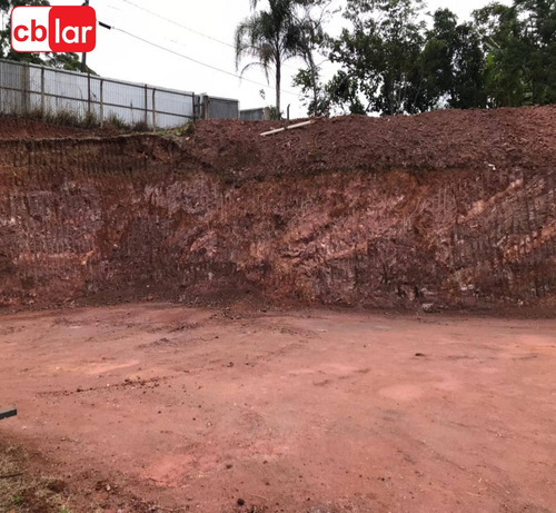 Imagem 14 de 15 de Terreno - Te00153 - 69909909