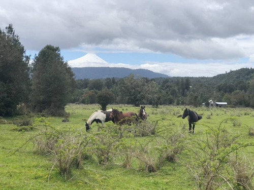 Imagen 8 de 15 de Vista Volcan Osorno Rio Pescado - Puerto Varas