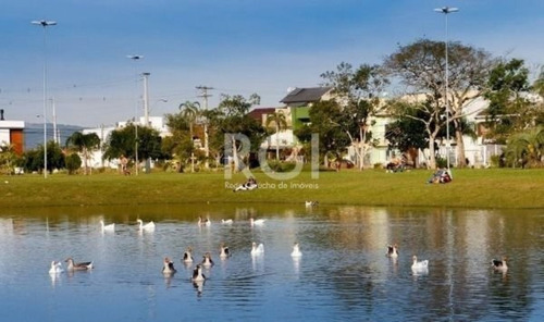 Imagem 3 de 4 de Terreno - Te00021 - 69351211